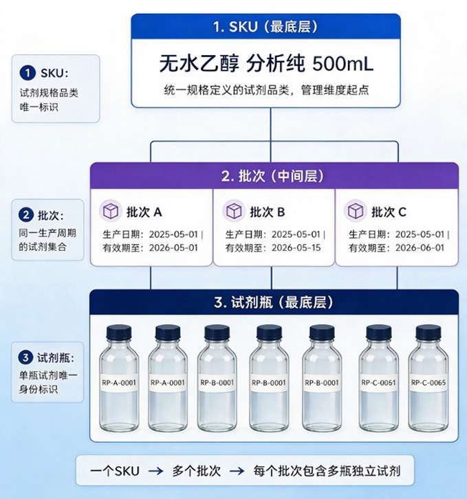 SKU、批次、试剂瓶三层层级关系示意